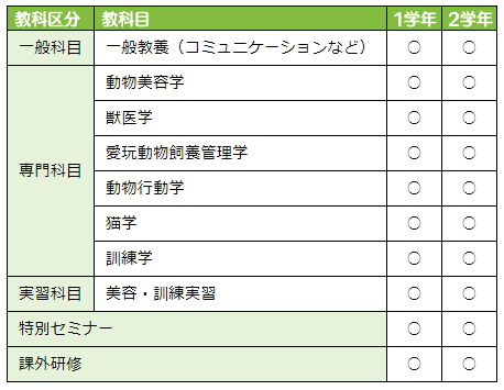 カリキュラム内容