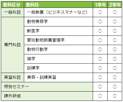 カリキュラム内容